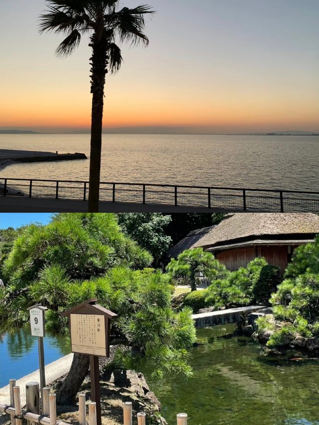 走進泉佐野市，開啟一趟自然與美食的奇妙之旅
