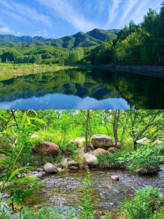 This Homestay Captivated Me—I Want to Live Here Permanently!