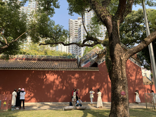 廣州農講所賞木棉花之旅