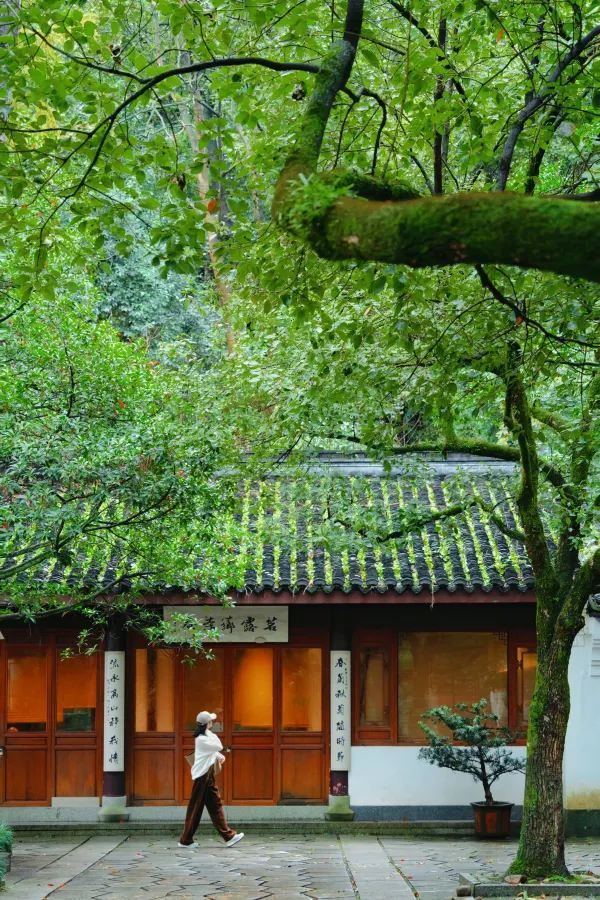 Discover the Most Relaxing City Walk Route Around West Lake!
