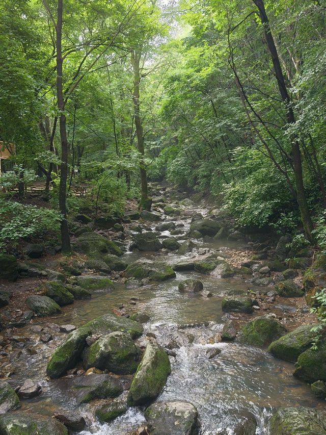 小長假去樂山，睇呢篇攻略就夠曬啦