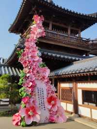 南京地鐵4號線直達，春花美到破防！