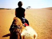 Glamping in the dessert 