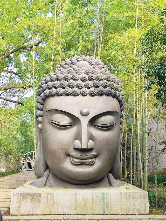 一年四季花不同，還有藝術館可以打卡