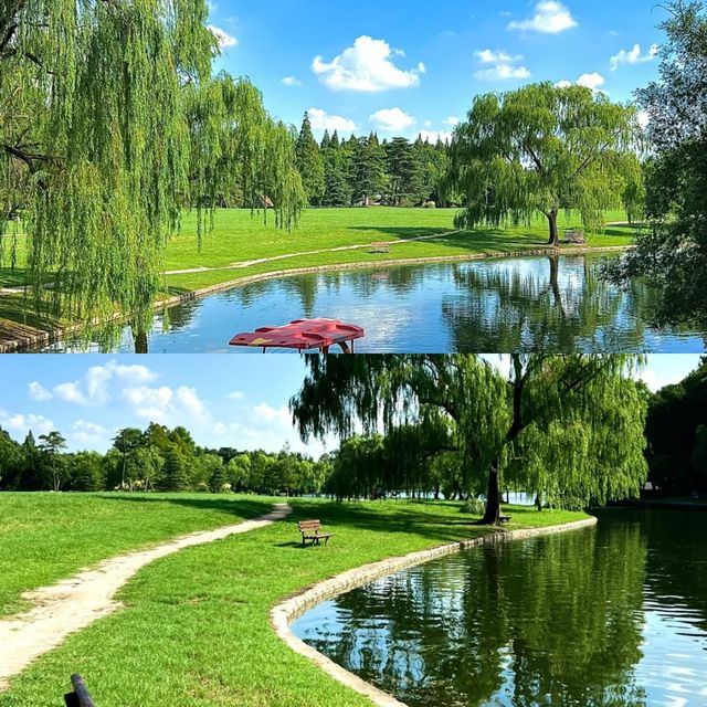 共青森林公園 現實版莫奈花園攻略來啦