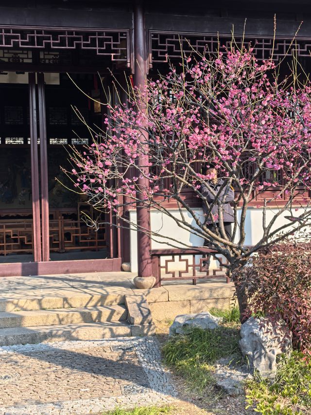 蘇州可園景區
