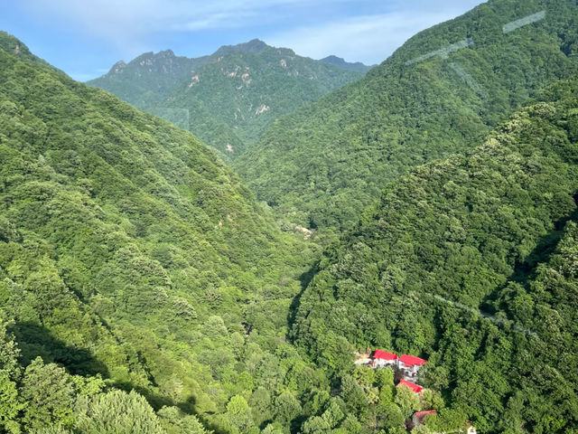 去了3次紅河谷森林公園，終於玩明白了。