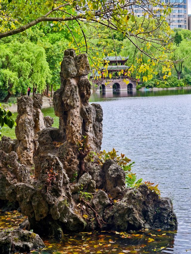五一好去處|暮春棠湖映雲影,也無風雨也無晴