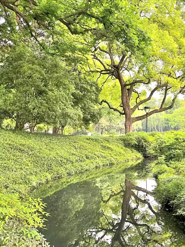 The spring in Hangzhou is indeed beautiful, and West Lake shows this spring scenery to the fullest.