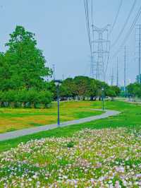 關於合肥春天嘅詩應該留喺大房郢體育公園