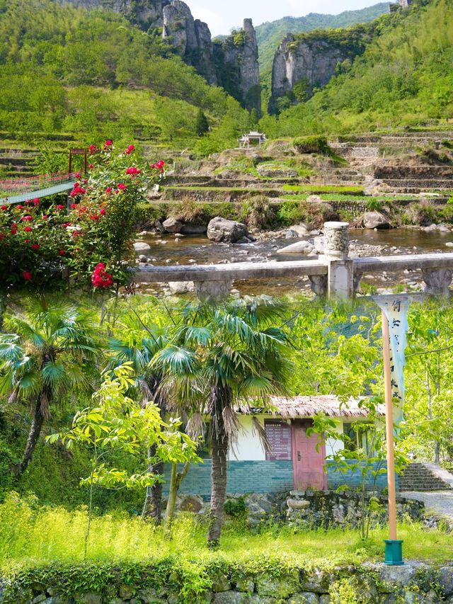 五月啱去嘅打卡「浙西小黃山」