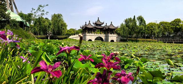 人傑地靈嘅金壇