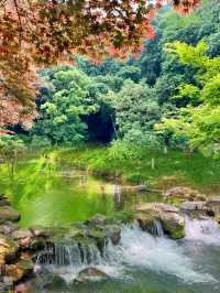 杭州避暑天花板！跟住本地人闖九溪煙樹秘境