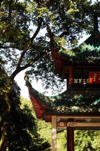 星城漫遊指南 | 赴一場長沙嘅熱辣與溫柔