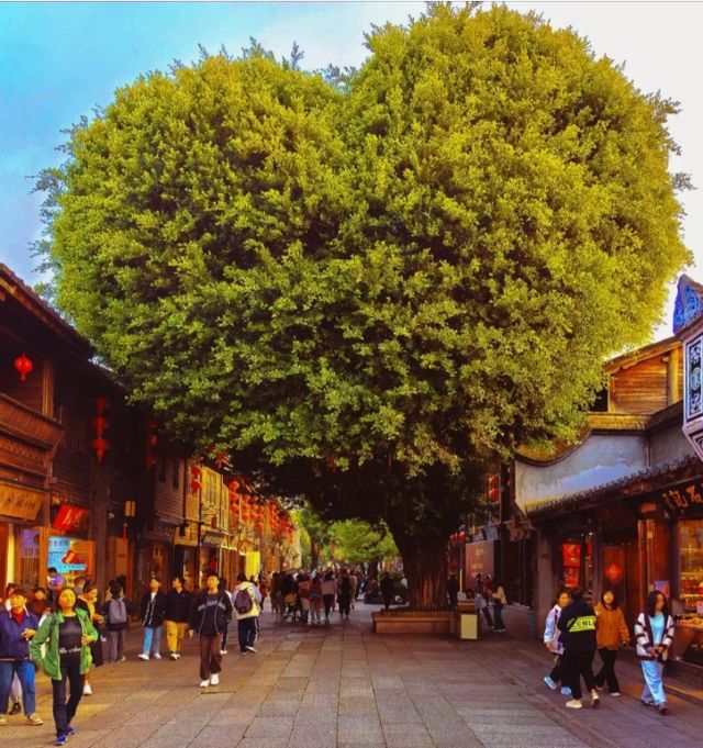 在古韻與現代交融嘅街巷中定格時光 在古韻與現代交融嘅街巷中定格時光