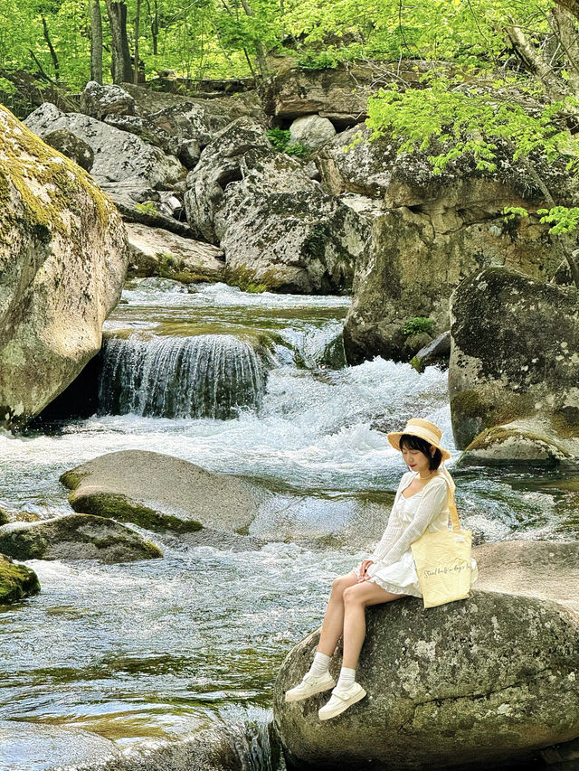 瀋陽周邊遊|搵到通往杜鵑花海嘅山間小路