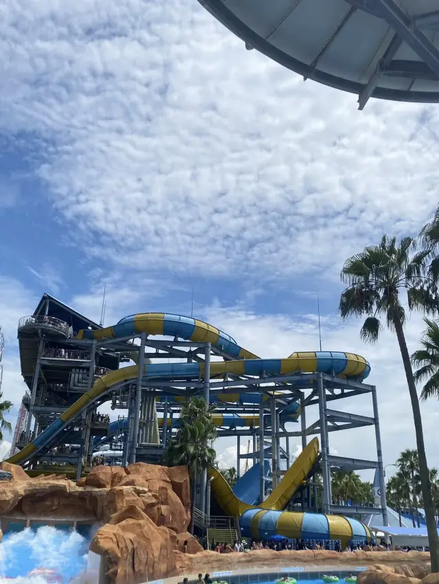 🌊長島樂園 | 夏日玩水超嗨攻略💦