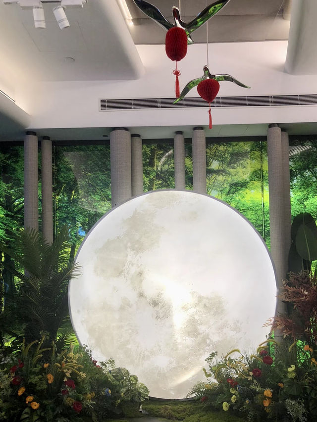 紅磡一隅，城市與寵愛共居