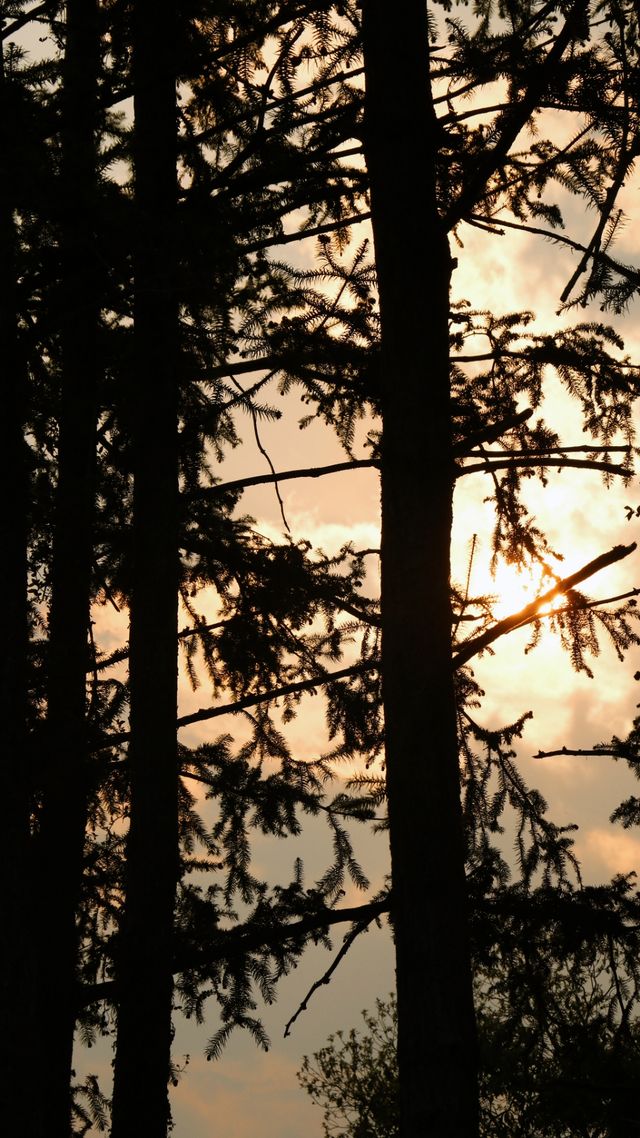 武夷山慢活記：三日兩夜唔爬山の療癒之旅