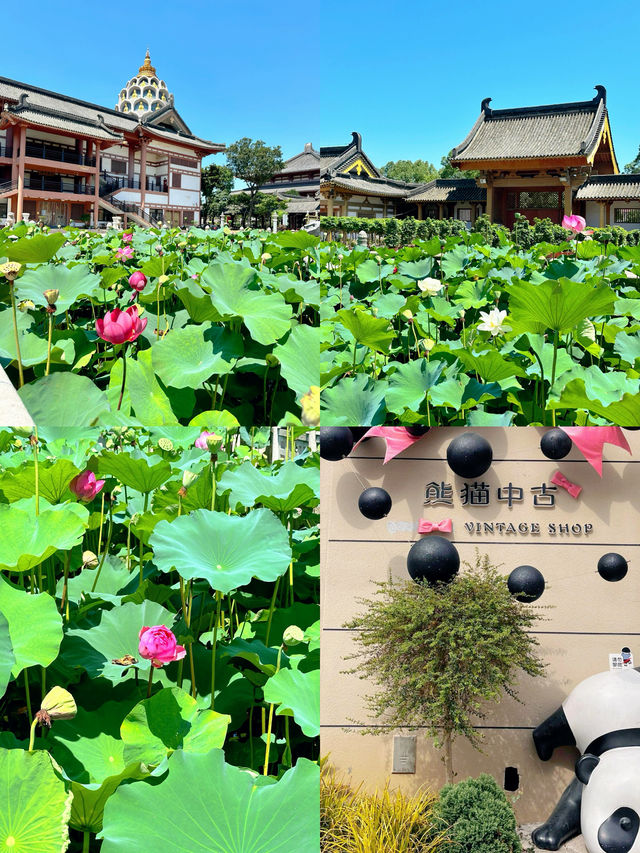 逃進23°C竹海，將夏天凍結在溫泉裡