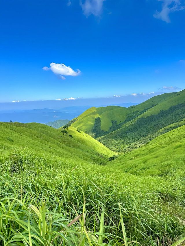 最近武功山又火咗，唔知你哋有冇去過呢