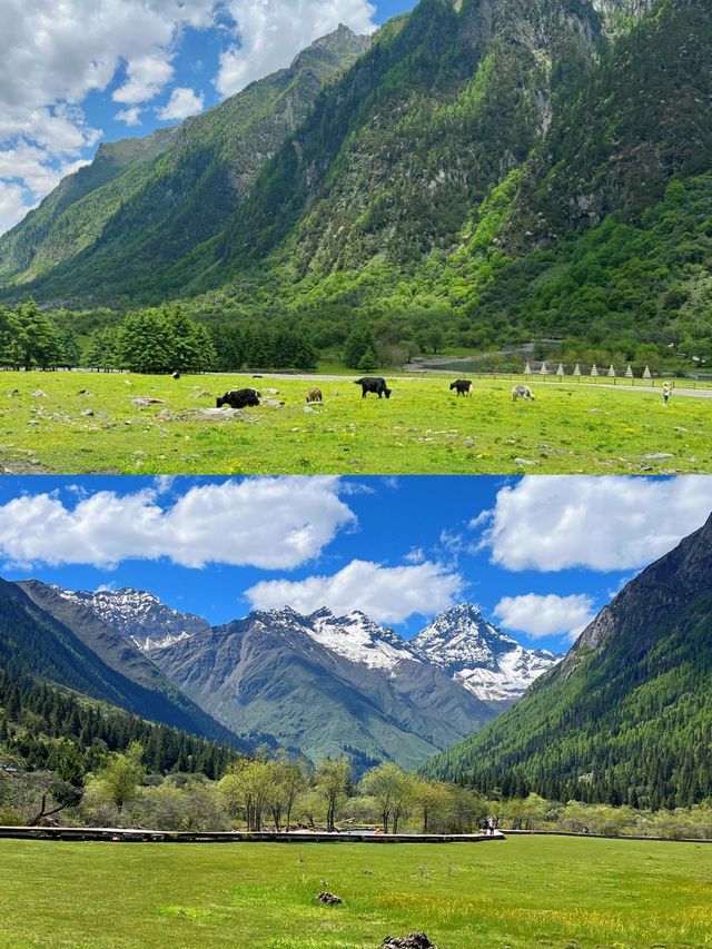 點樣玩轉四姑娘山？跟住我嘅超詳細攻略