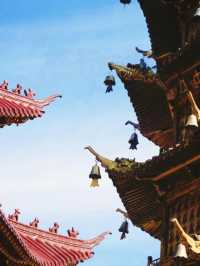 福鼎受罪之旅已結束，真係唔建議6月份嚟