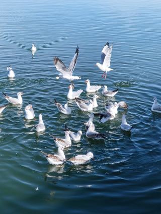 Qinghai Delingha: Half Poetry, Half Wilderness