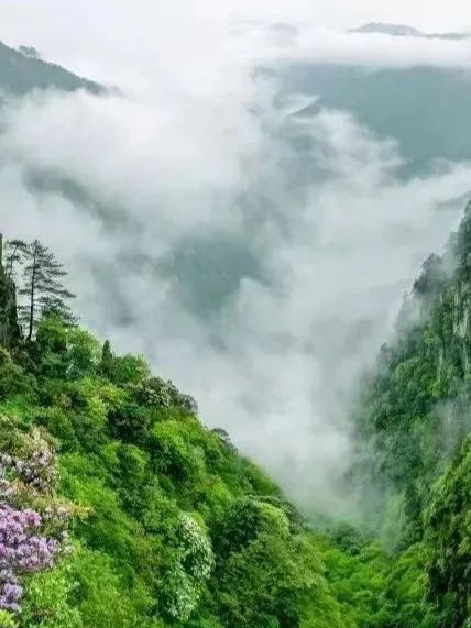 廬山真面目旅遊全攻略！帶你領略匡廬奇秀
