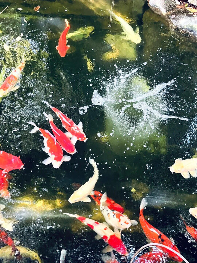 曼谷市區驚現熱帶雨林咖啡廳☕️ 美到窒息