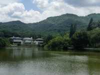 隱藏於白雲山麓嘅翡翠秘境