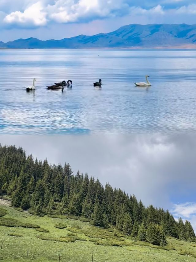 夏季6月賽里木湖已回，真心建議7-8月淡季去！！！