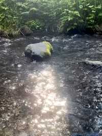 夏日必衝！20℃長白山避暑天堂，徒步穿越仙境超全指南！