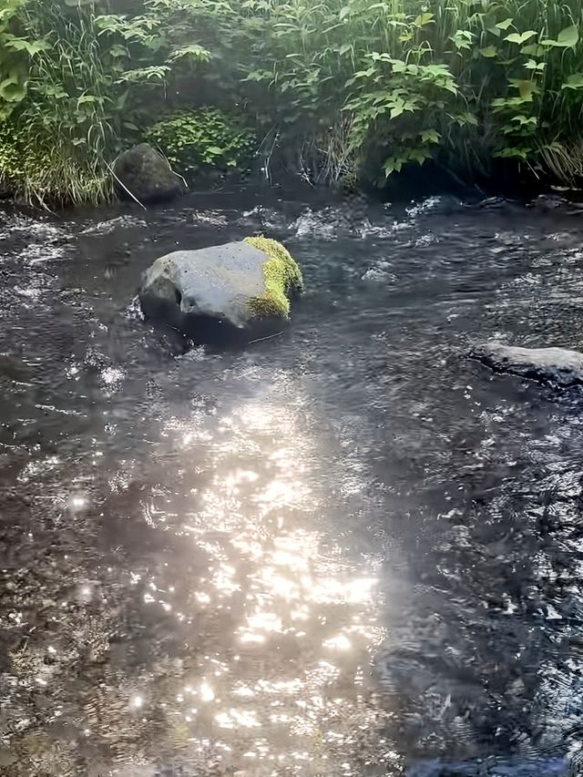 夏日必衝！20℃長白山避暑天堂，徒步穿越仙境超全指南！