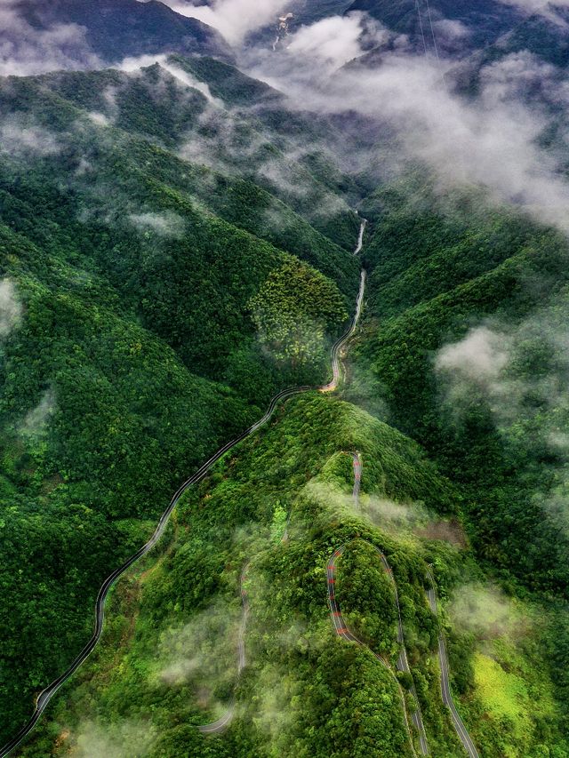 酷暑住進皖南山水畫夏日清涼保姆級攻略
