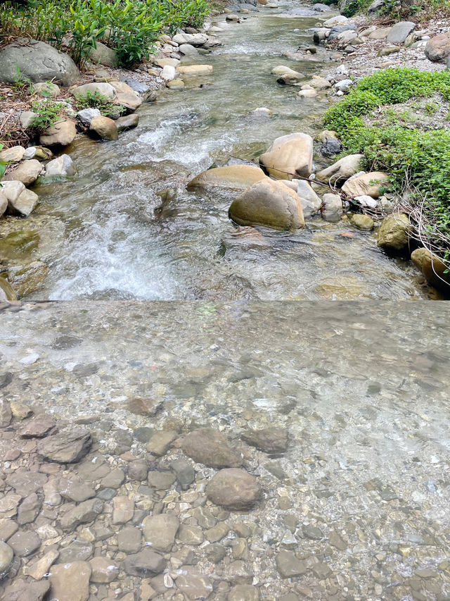 峨眉山高橋里暑期放電｜玩水野趣「癲」覆常規