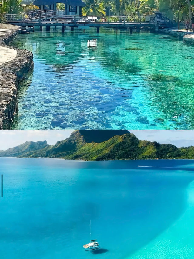 全球海島推薦