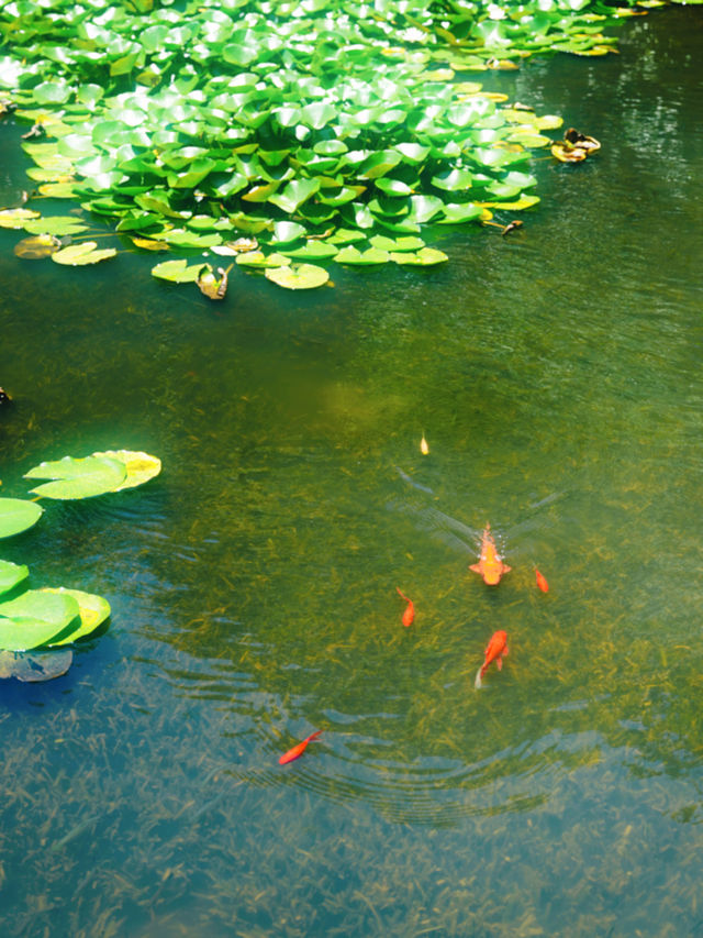 【紹興尋寶路線】終於搵到夏天避暑好去處