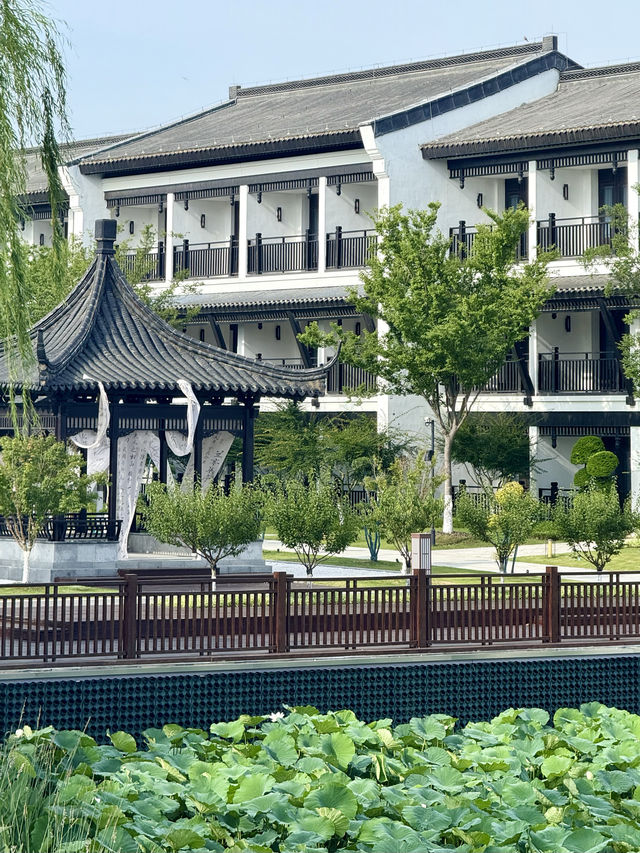 鹽城｜顛覆我認知的大洋灣希爾頓逸林酒店