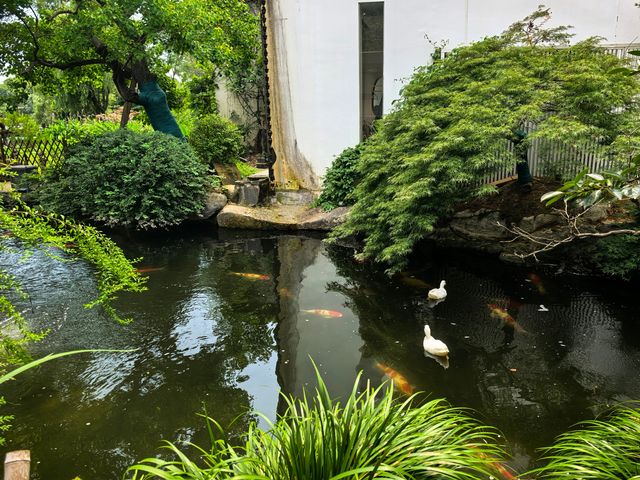寧波文藝青年必去茶空間