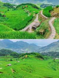 麗水夏日秘境｜蛟龍潭避暑指南