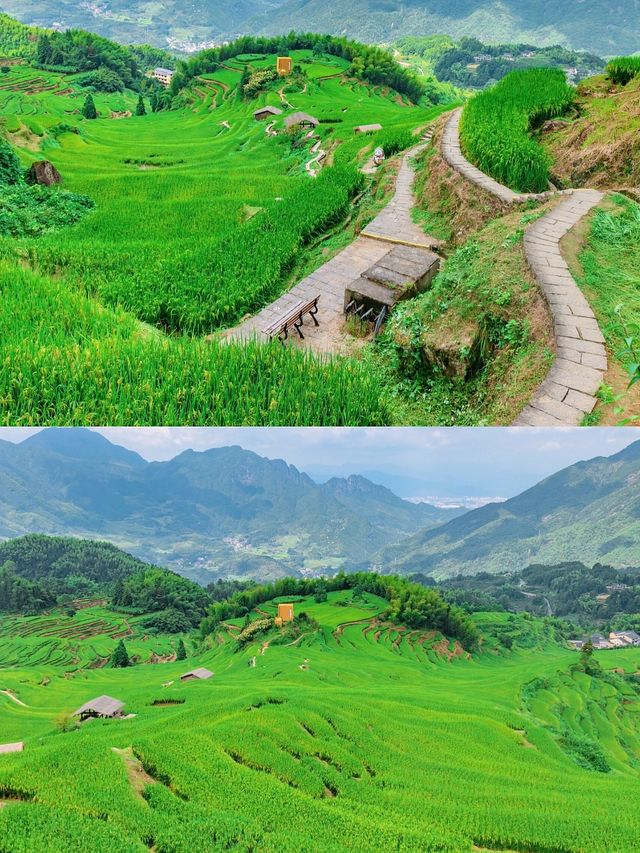 麗水夏日秘境｜蛟龍潭避暑指南