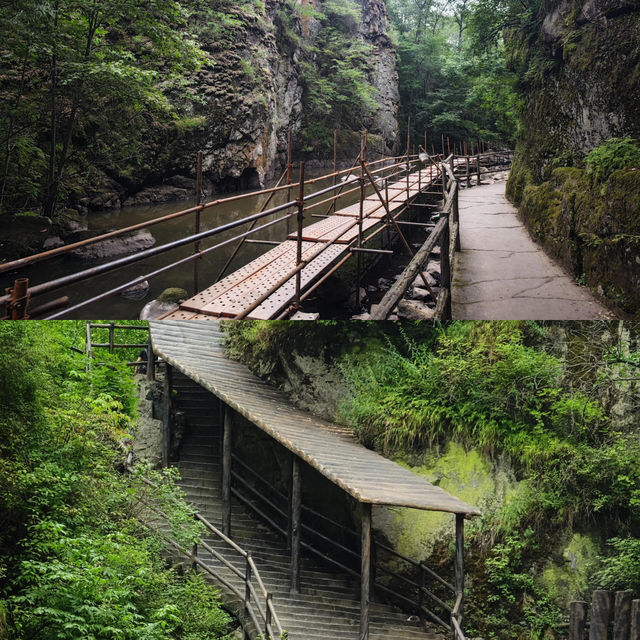 隱藏喺東北嘅秘境｜茅蘭溝，避暑行山超舒服