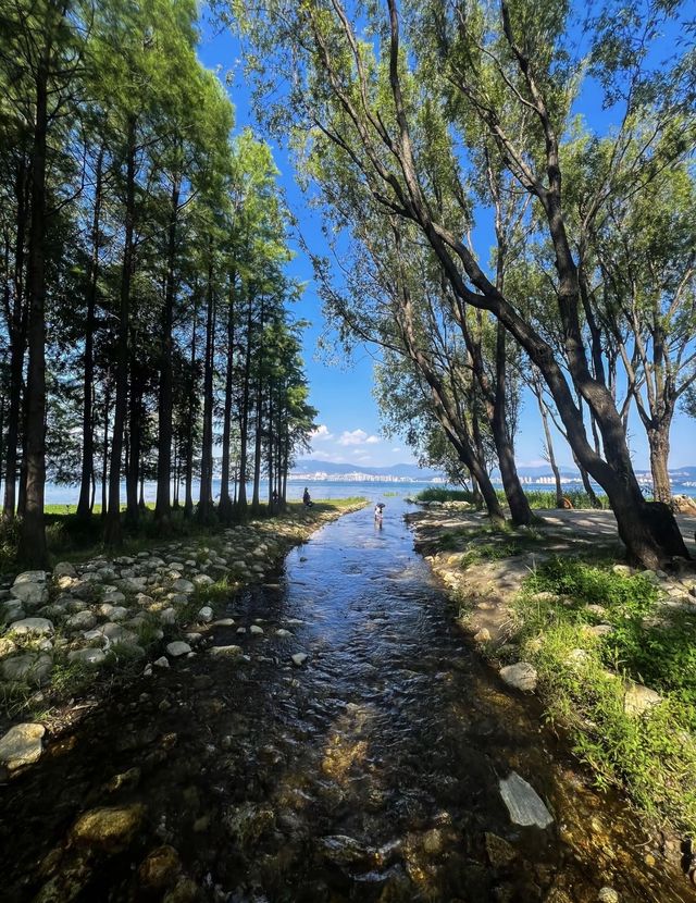 洱海漫遊指南：在140公里的湖光山色裡遇見大理的靈魂   深度玩法：分岸而治，解鎖洱海雙面風情  