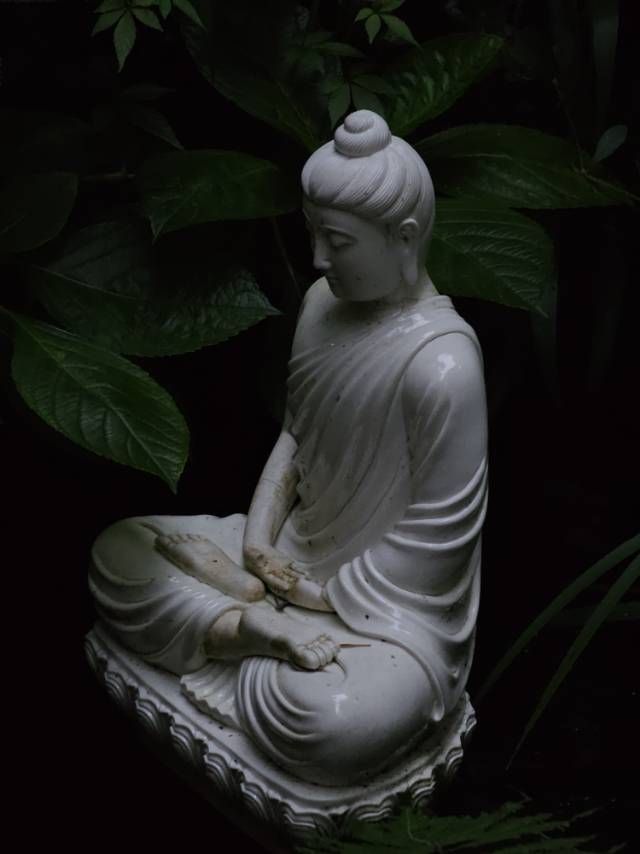 凤凰·清溪禪院民宿｜隱於綠意中的一方淨土。