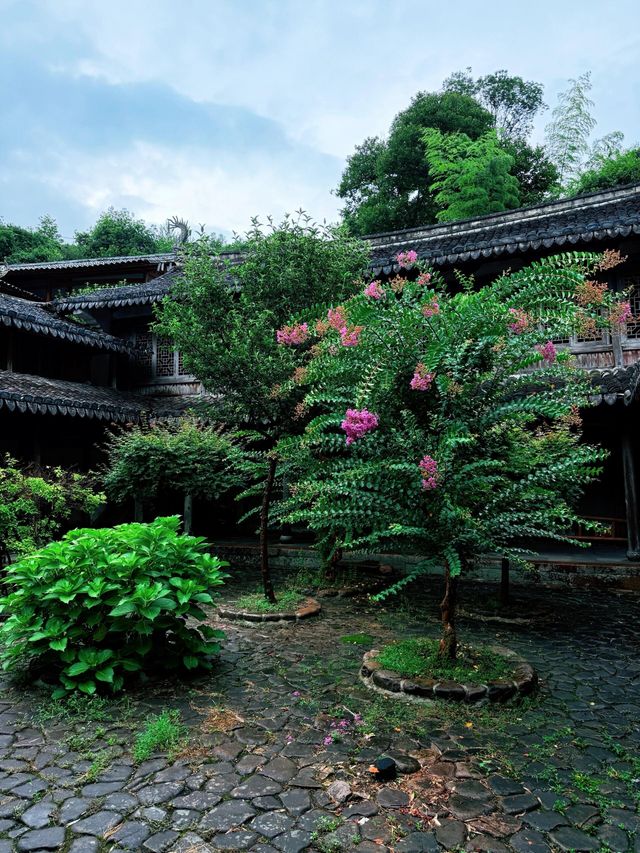 雨中漫步麗水古街｜這抹江南綠太治癒了