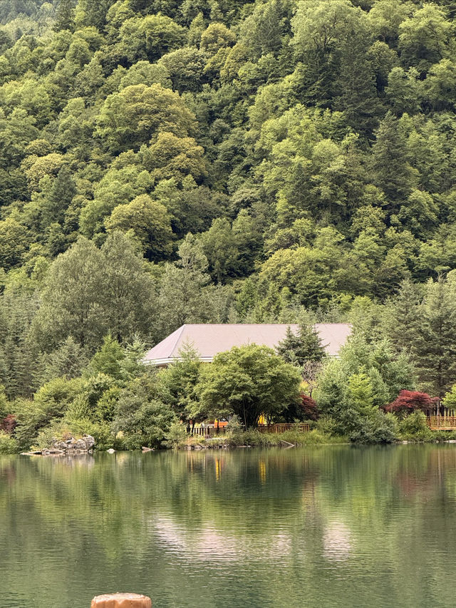 「川西夏日限定！同閨蜜住進25℃嘅綠野仙蹤！」
