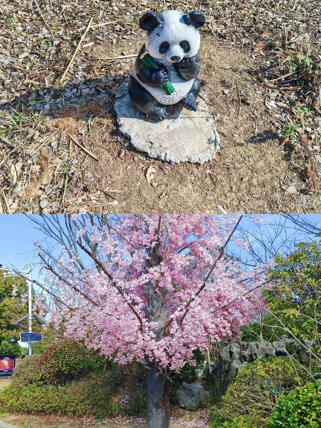 天！蘇州裸心泊簡直係夢中情地，上海周邊衝