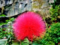 Foshan Xiqiao Mountain Forest Park: Where Nature Meets Legend