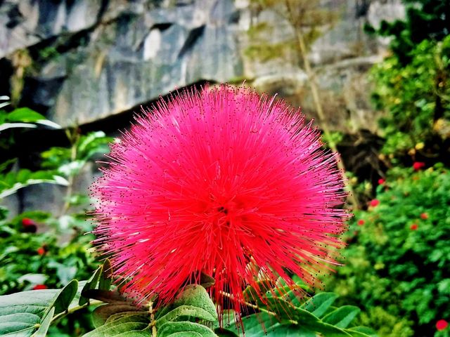Foshan Xiqiao Mountain Forest Park: Where Nature Meets Legend